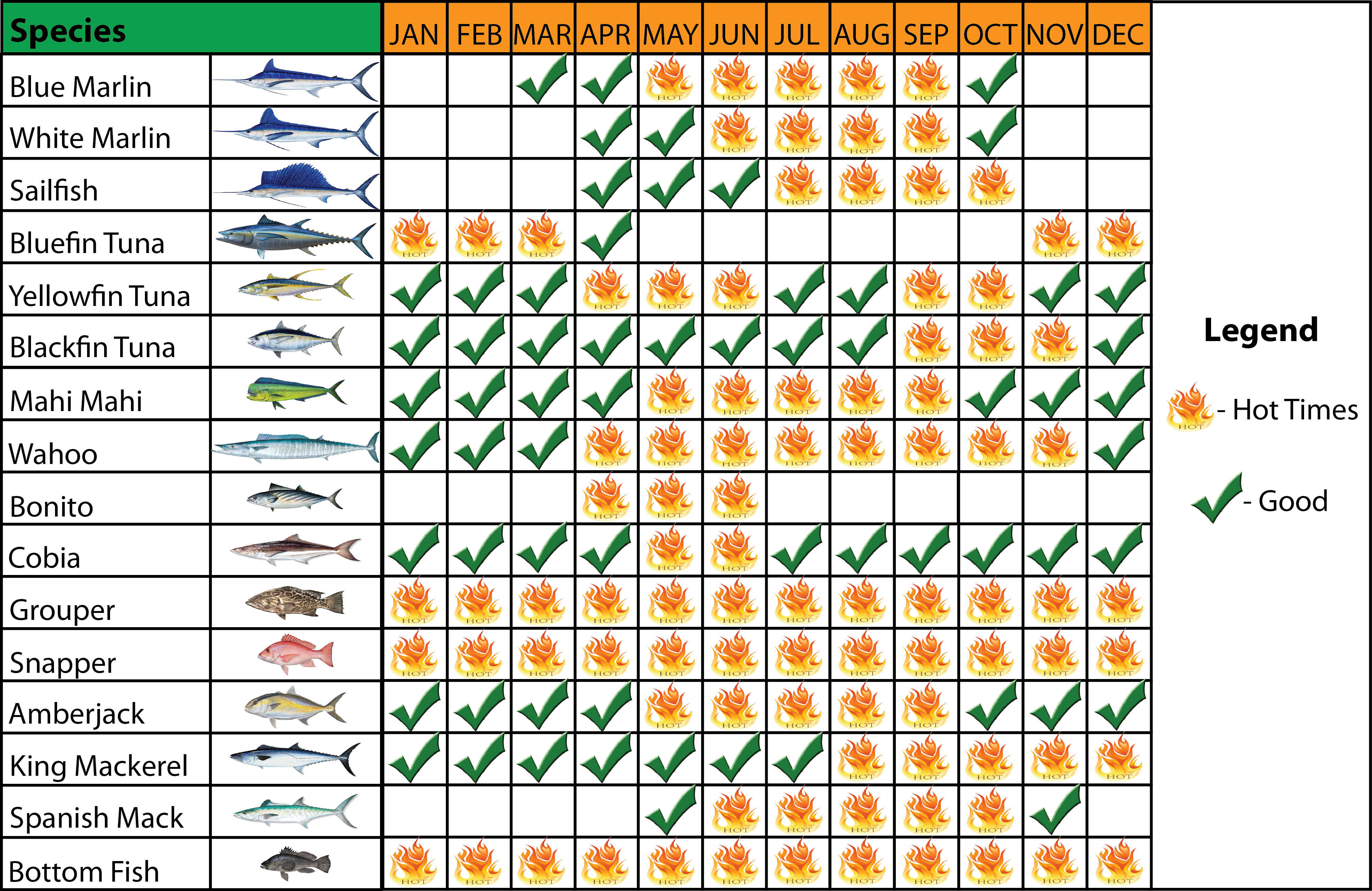 What s Biting Now Pelagic Hunter Sportfishing